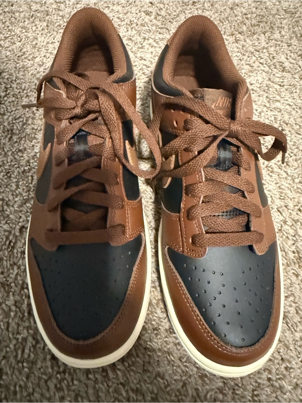 Youth Nike Dunk Lows